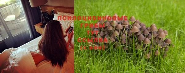 mdpv Баксан